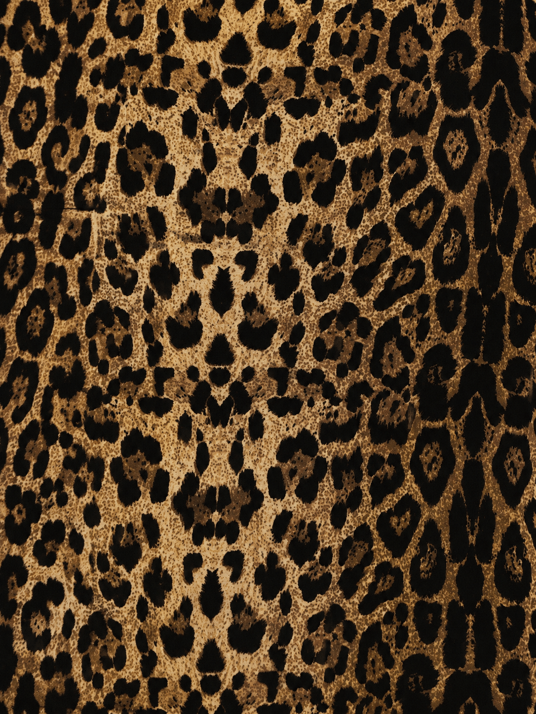 Legging léopard dégradé Lolie - Léone